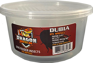 Dragon Lair Dubia Roaches, Small, 25 Count - Not Available For Delivery
