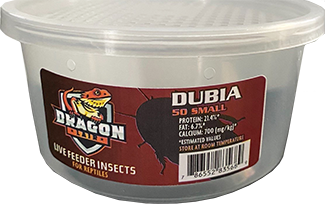Dragon Lair Dubia Roaches, Small, 50 Count - Not Available For Delivery