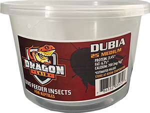 Dragon Lair Dubia Roaches, Medium, 25 Count - Not Available For Delivery