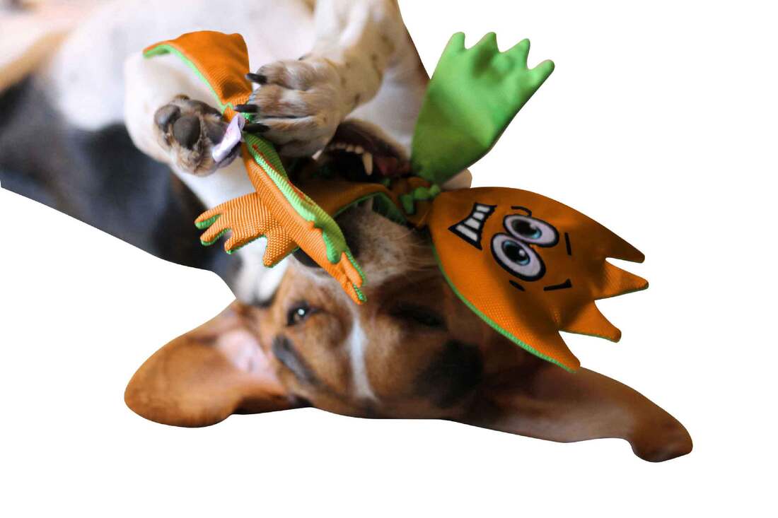 Jolly Pets Flathead, Medium