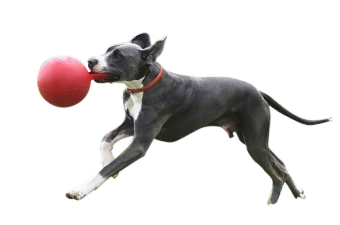 Jolly Pets Tug N Toss Red, 6 Inches