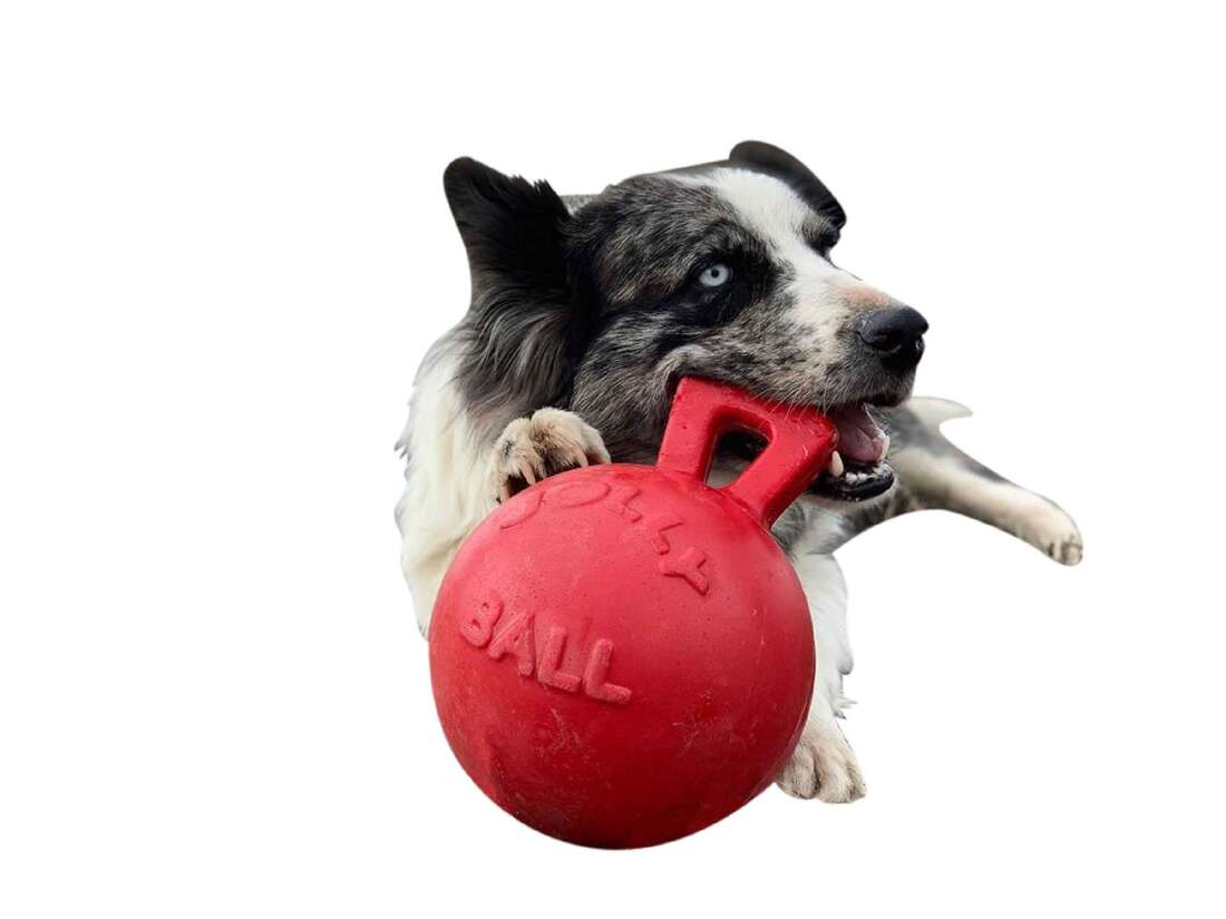 Jolly Pets Tug N Toss Red, 6 Inches