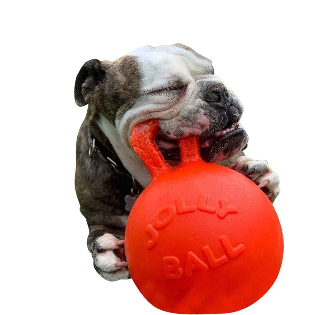 Jolly Pets Tug N Toss Orange, 8 Inches