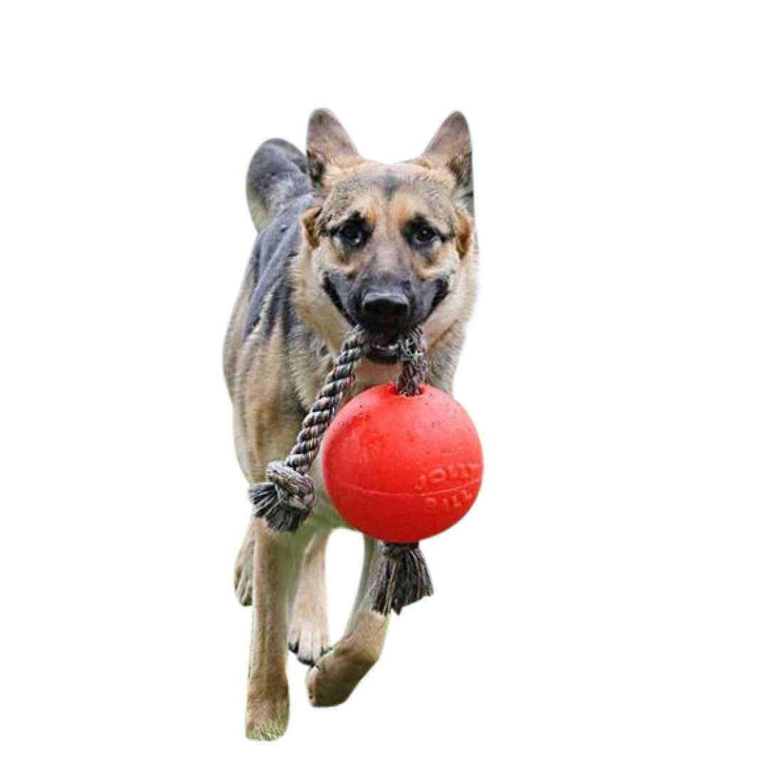 Jolly Pets Romp N Roll Orange, 6 Inches