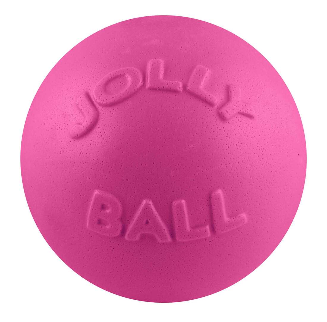 Jolly Pets Bounce-N-Play Dog Toy, Pink, 8 Inches