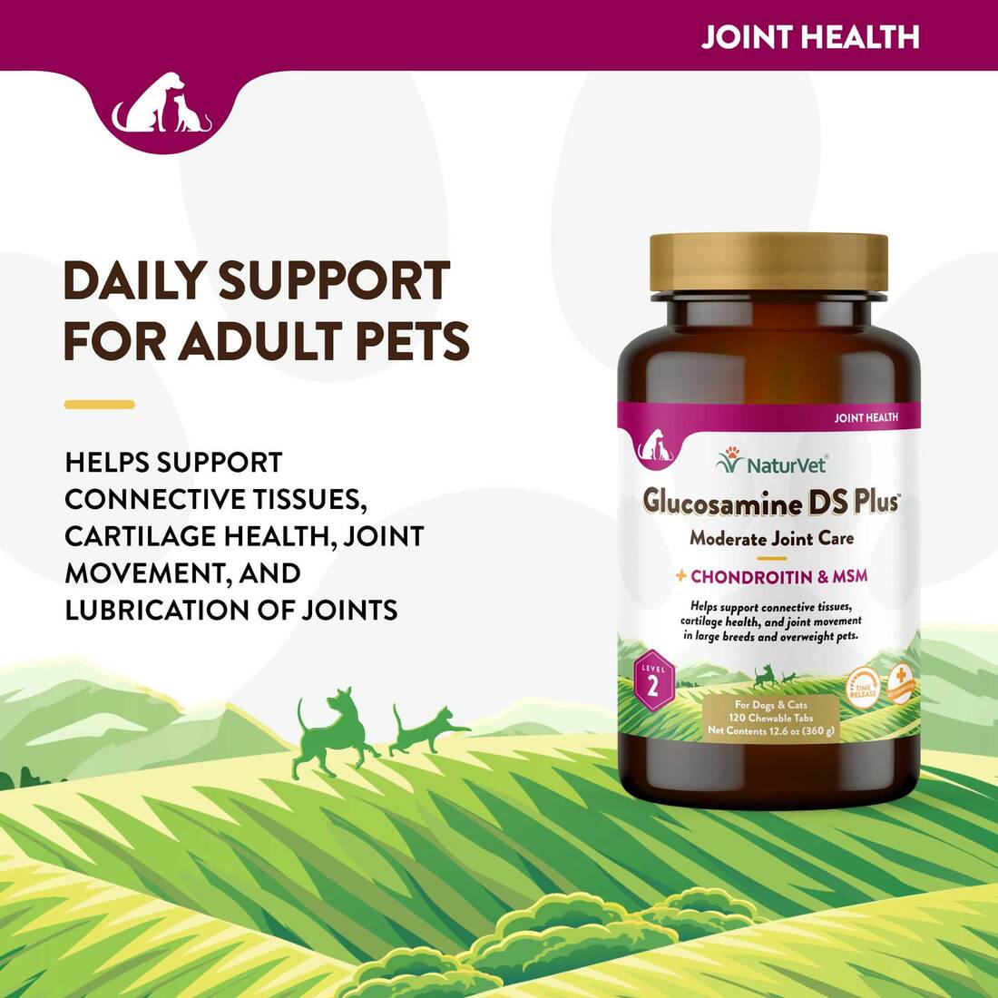 NaturVet Glucosamine DS Plus Level 2 Moderate Joint Care Time Release, Chewable Tablets for Dogs, 12