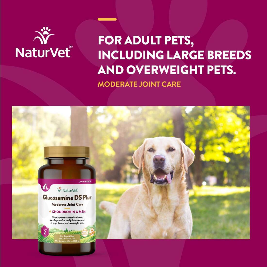 NaturVet Glucosamine DS Plus Level 2 Moderate Joint Care Time Release, Chewable Tablets for Dogs, 12