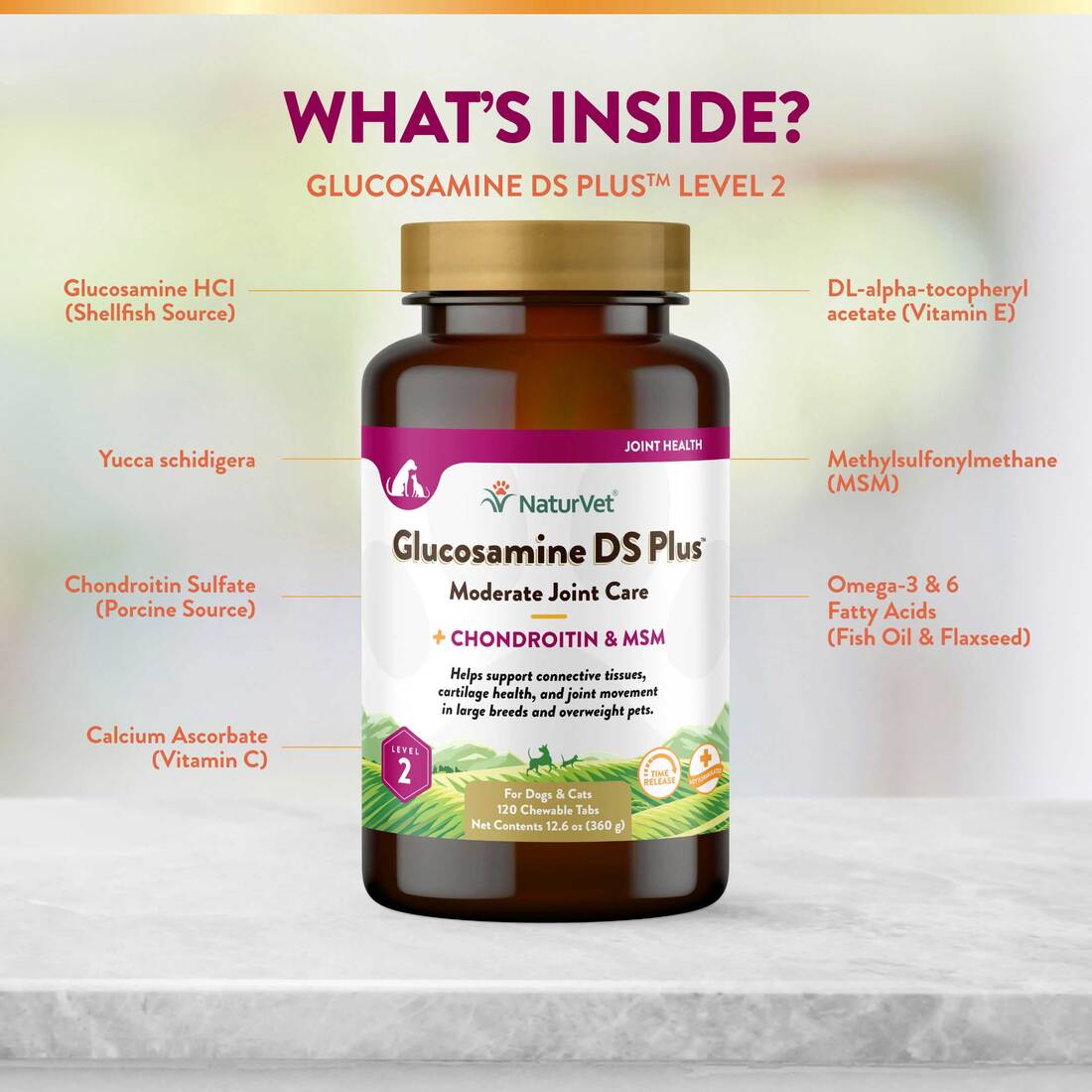 NaturVet Glucosamine DS Plus Level 2 Moderate Joint Care Time Release, Chewable Tablets for Dogs, 12