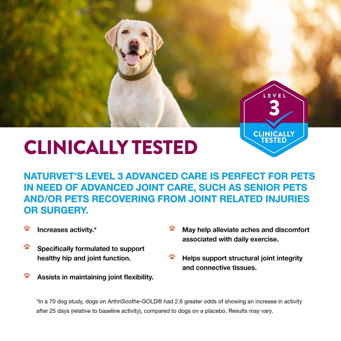 NaturVet Clinically Tested ArthriSoothe Gold Level 3 Joint Care Soft Chew, 180 Count