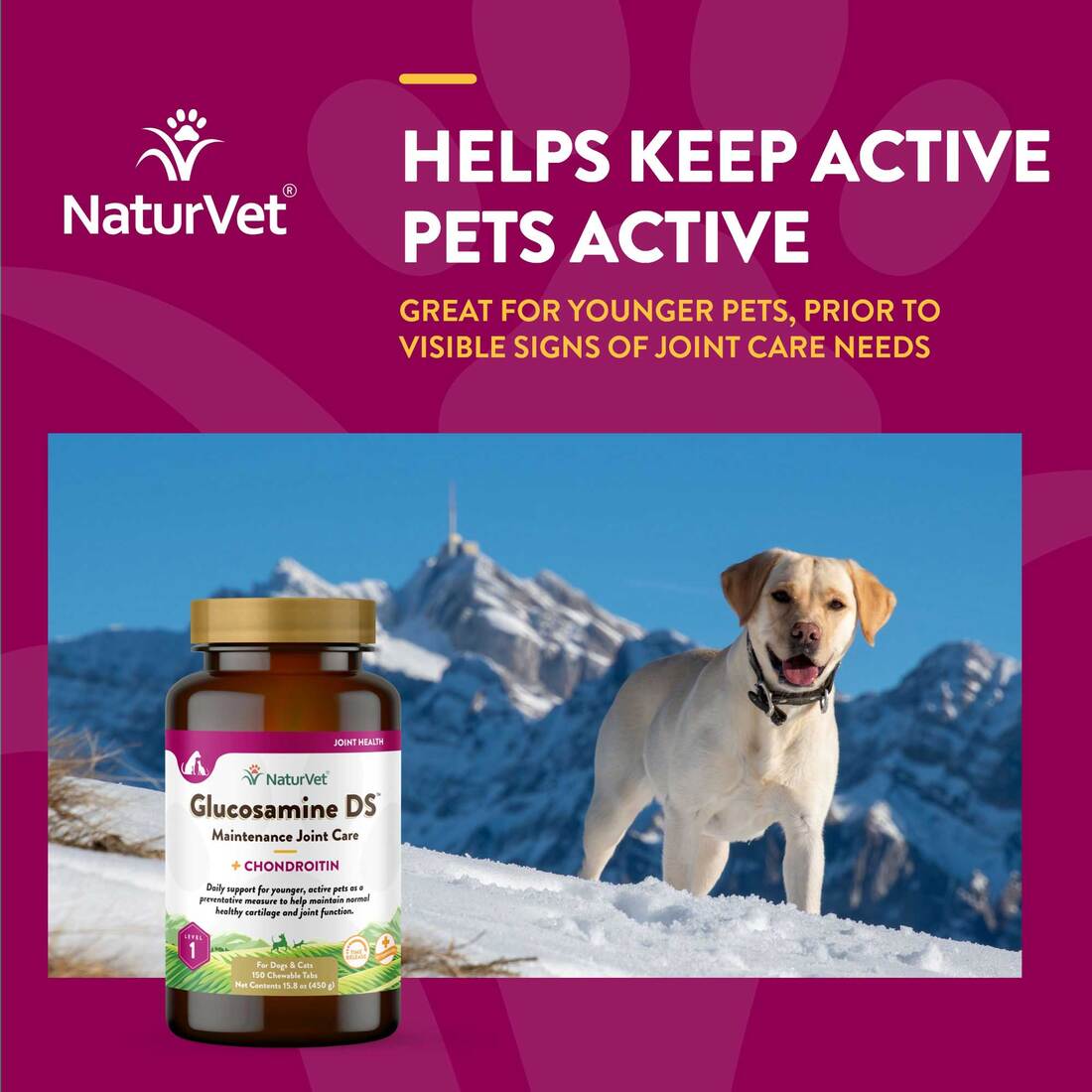 NaturVet Glucosamine DS Level 1 Maintenance Joint Care Time Release, Chewable Dog Tablets, 150 count