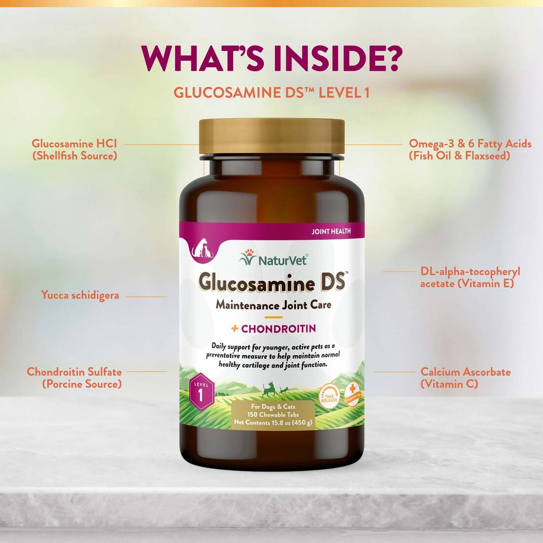 NaturVet Glucosamine DS Level 1 Maintenance Joint Care Time Release, Chewable Dog Tablets, 150 count