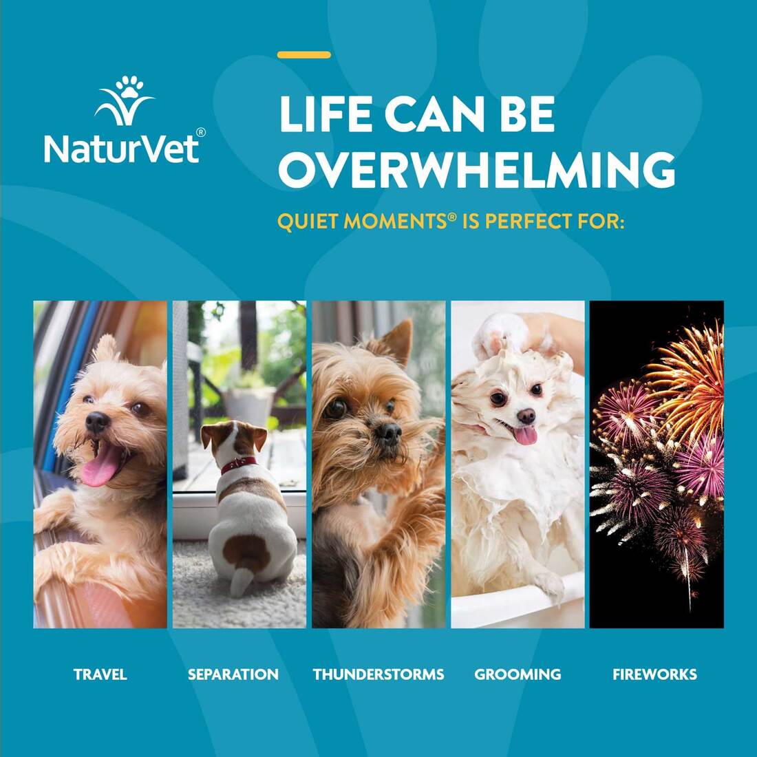 NaturVet Quiet Moments Time Release Chewable Tablets for Dogs, 30 Chews