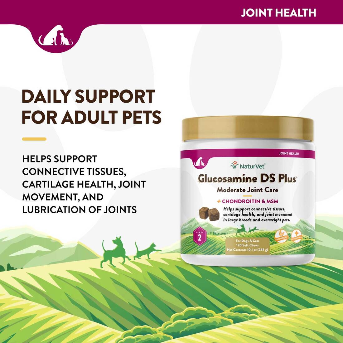 NaturVet Glucosamine DS Plus Level 2 Moderate Joint Care Soft Chews, 120 count