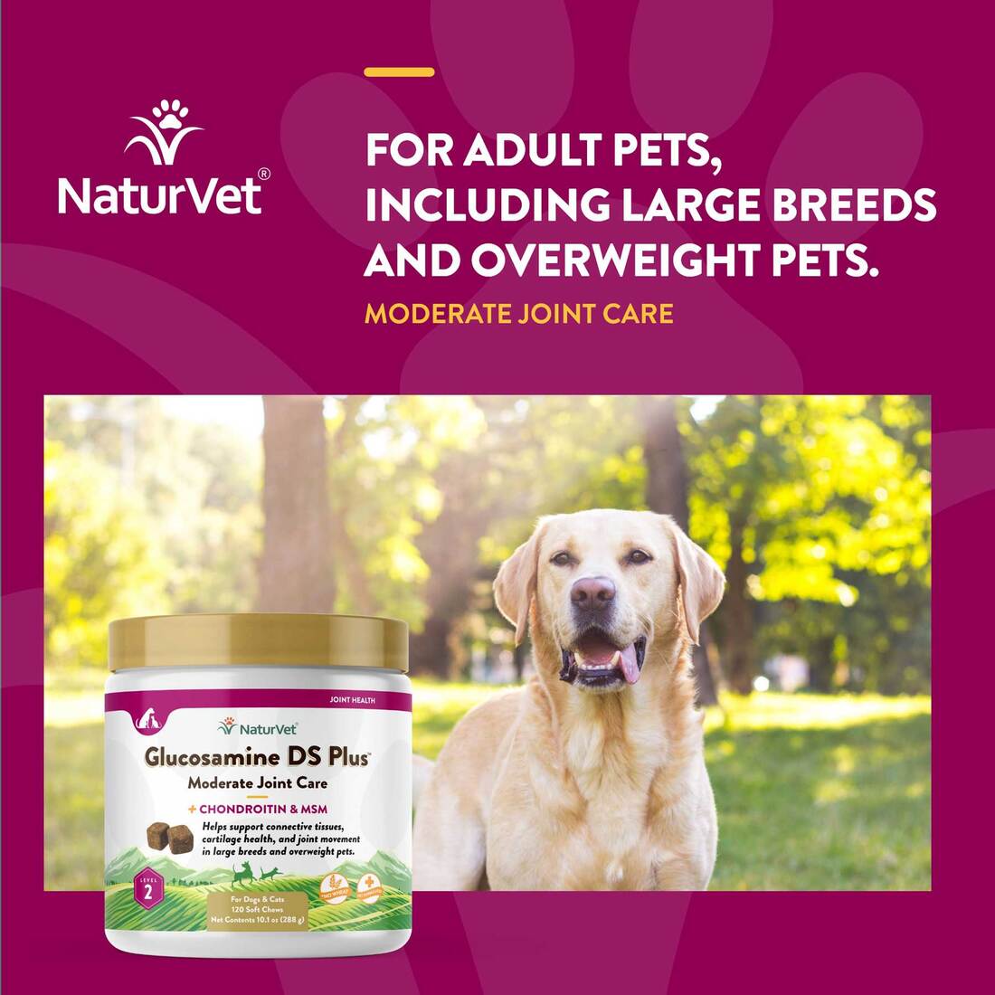NaturVet Glucosamine DS Plus Level 2 Moderate Joint Care Soft Chews, 120 count