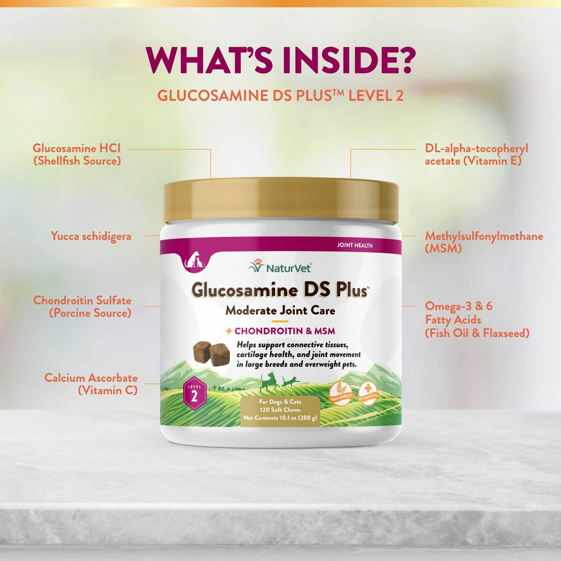 NaturVet Glucosamine DS Plus Level 2 Moderate Joint Care Soft Chews, 120 count