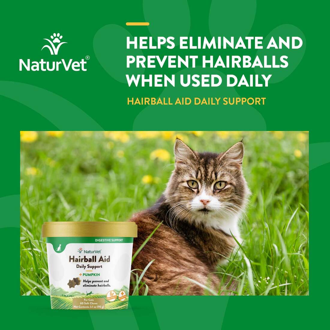 NaturVet Hairball Aid Plus Pumpkin Cat Soft Chew Cup, 60 Count