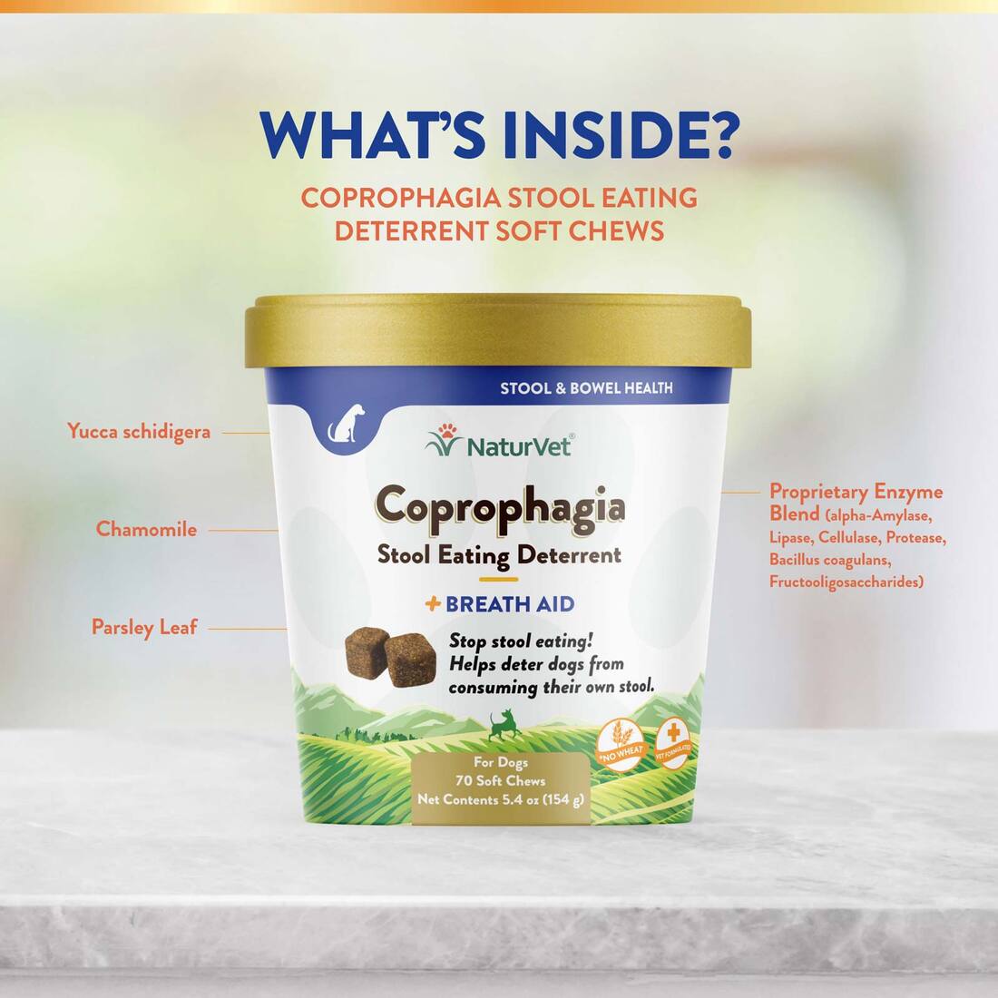 NaturVet Coprophagia Stool Eating Deterrent Plus Breath Aid Dog Soft Chews, 70 Count