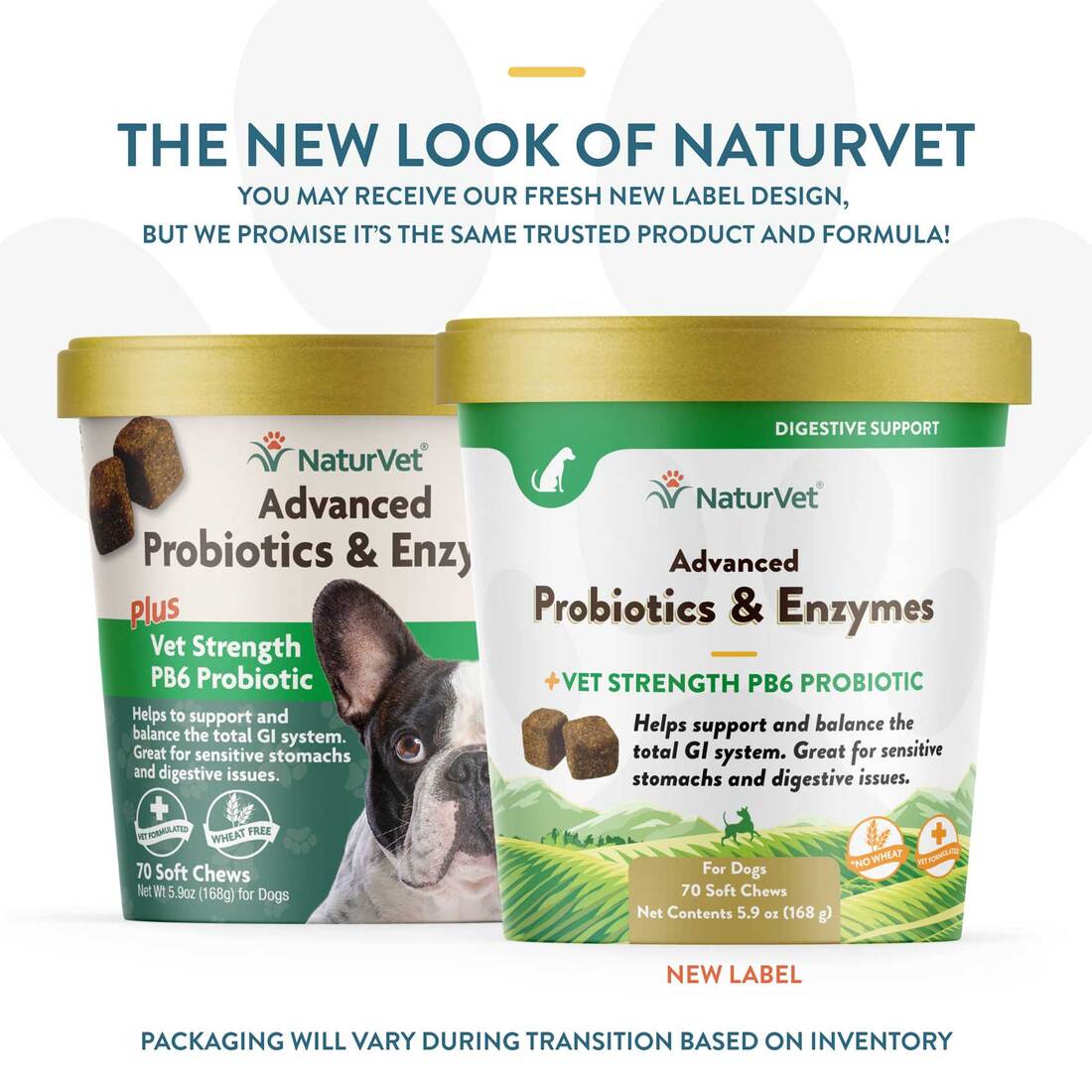 NaturVet Advanced Probiotics And Enzymes Plus Soft Chews For Dogs, 70 Count