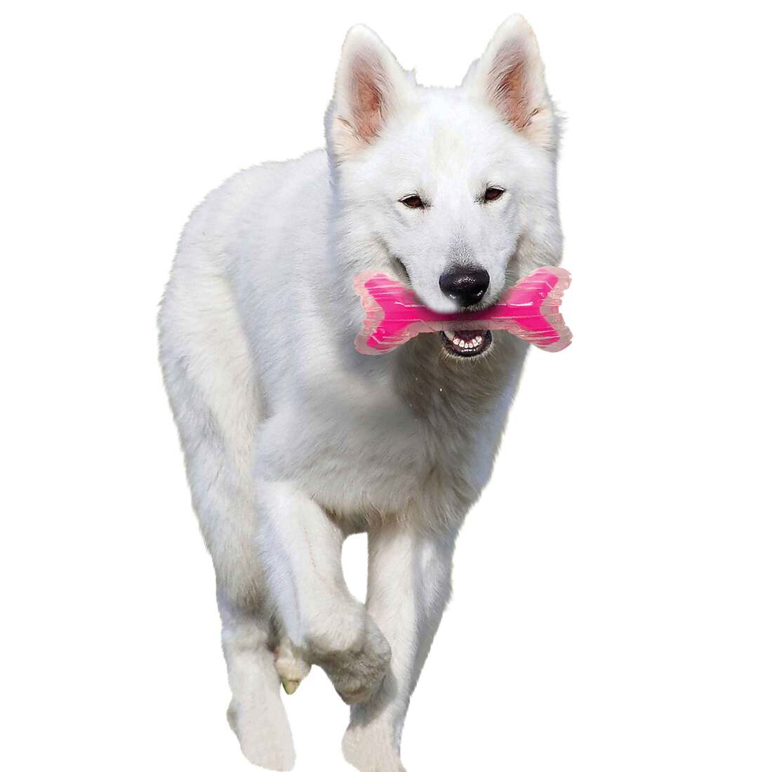 810009471325_4