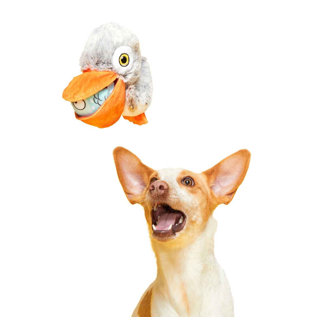 Bark Big Bill & Beak-a-boo Fish Pelican Bird Fish Plush Dog Toy, Small/Medium