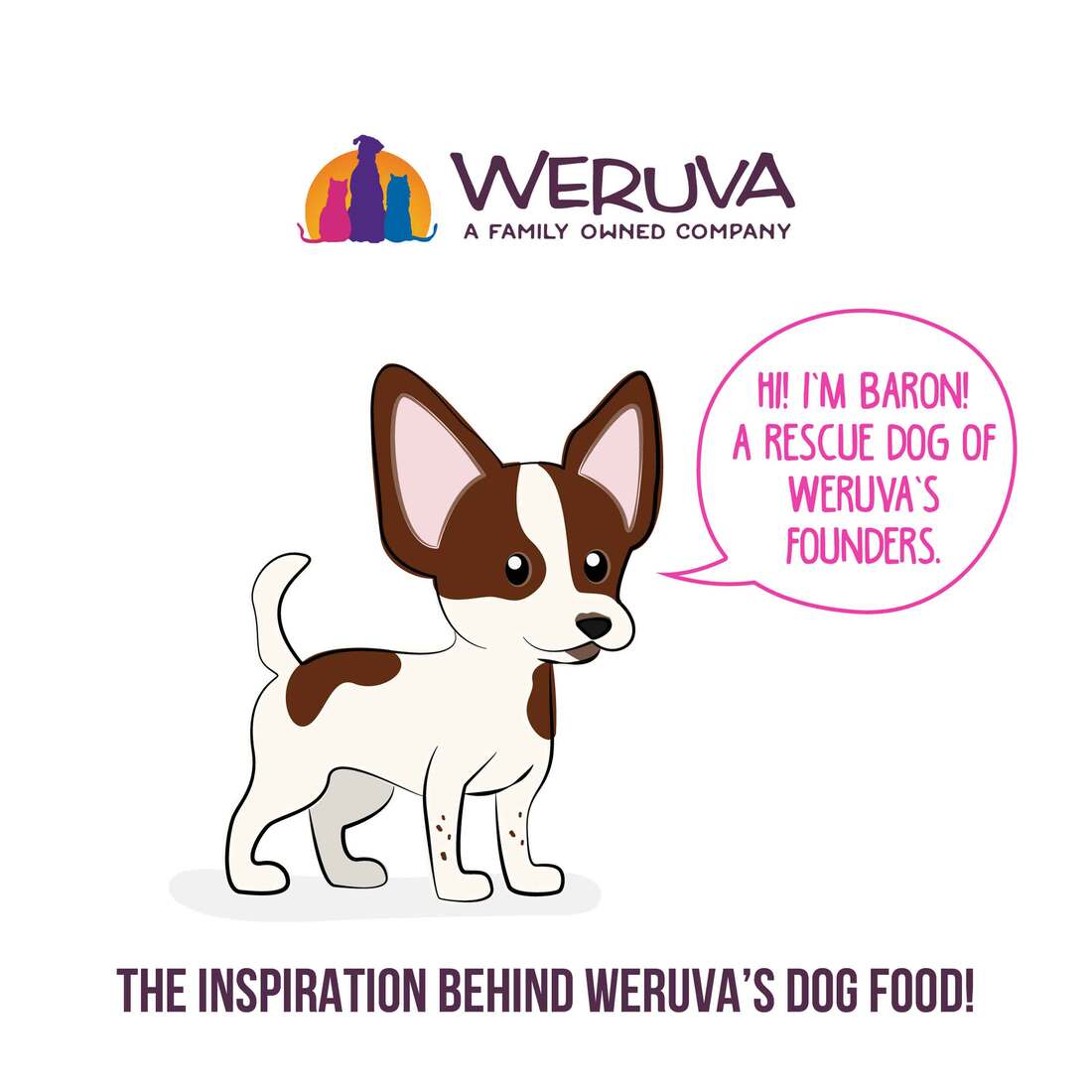 Best Fido Friend Wet Dog Food by Weruva, Roll The Dice, 2.75 Ounce Cup