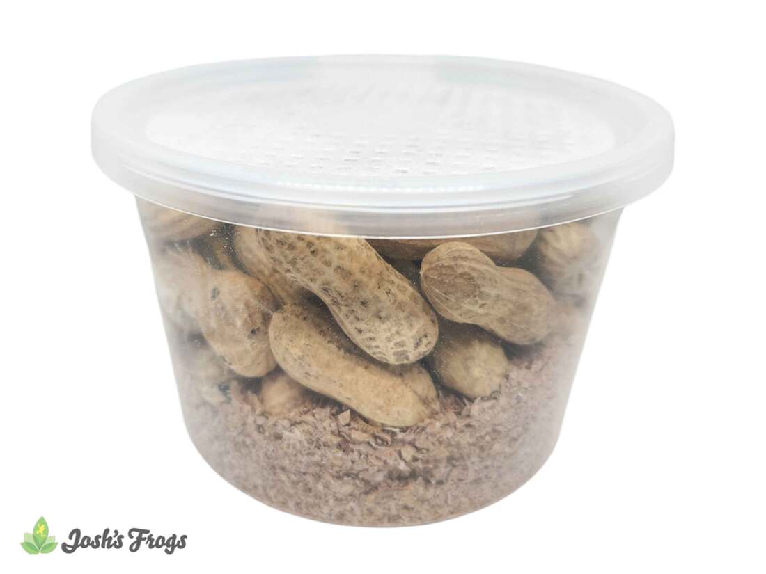 Joshs Frogs Peanut Beetle Culture, 16 Ounces - Not Available For Delivery