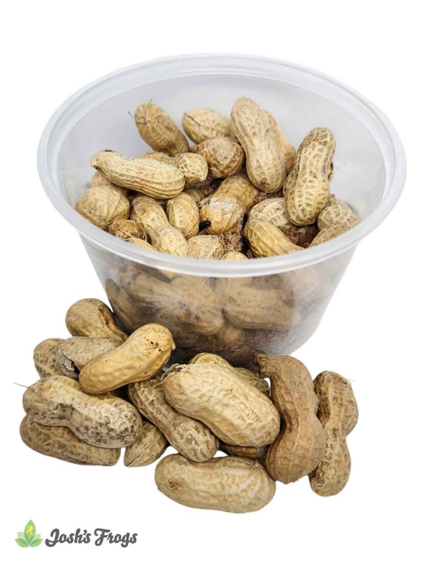 Joshs Frogs Peanut Beetle Culture, 16 Ounces - Not Available For Delivery