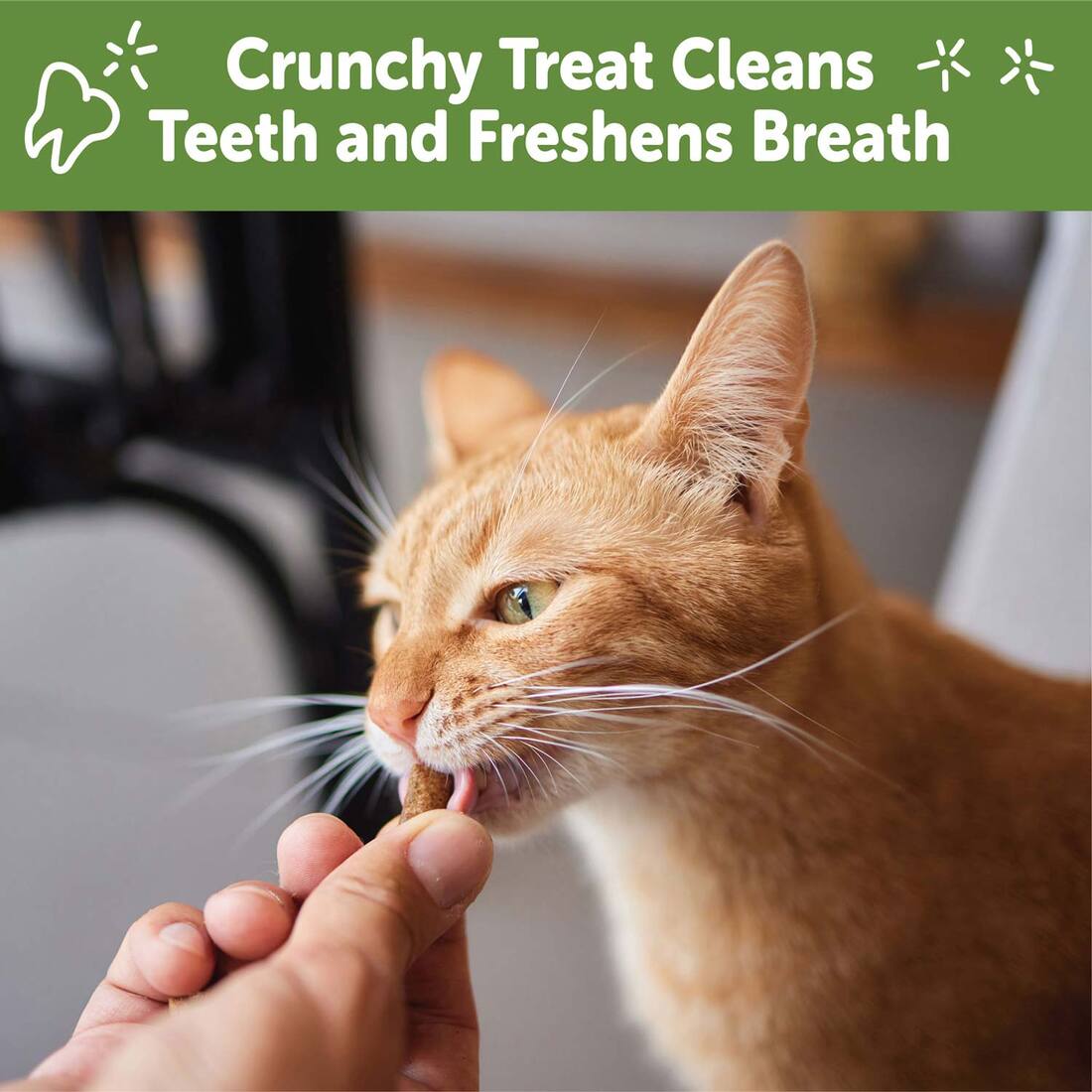 Wellness WHIMZEES Natural Cat Dental Treats, Chicken Flavor, 2