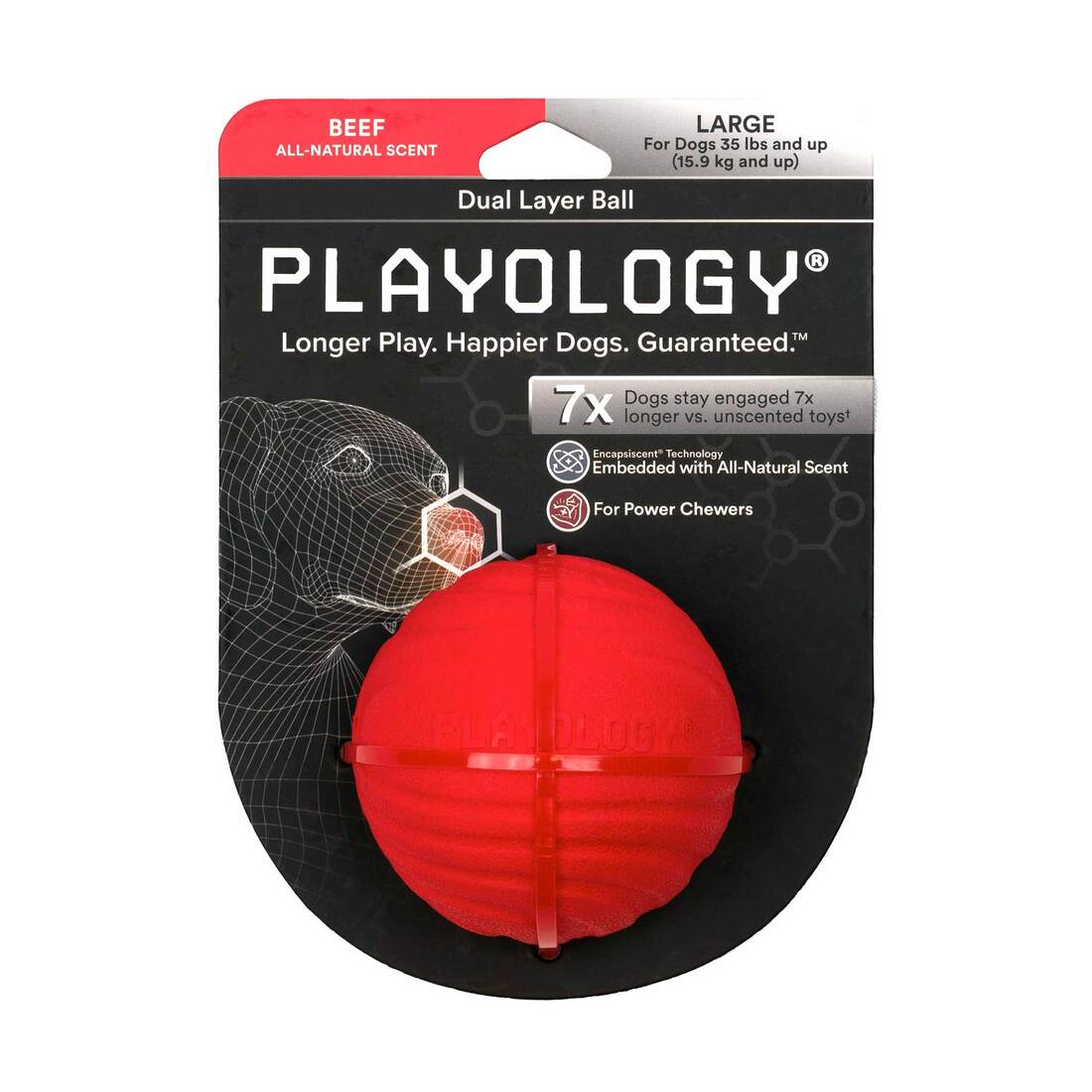 Playology Dual Layer Ball Dog Toy, Beef