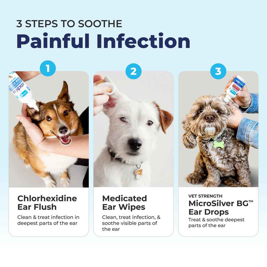 How Do Vets Treat Ear Infections in Dogs: Expert Insights