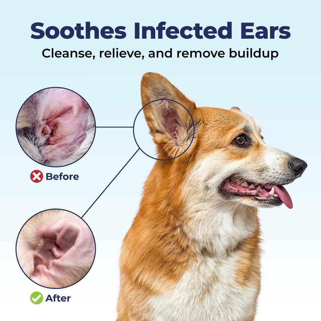 Oticbliss Medicated Ear Infection Cleaning Flush for Dogs Cats