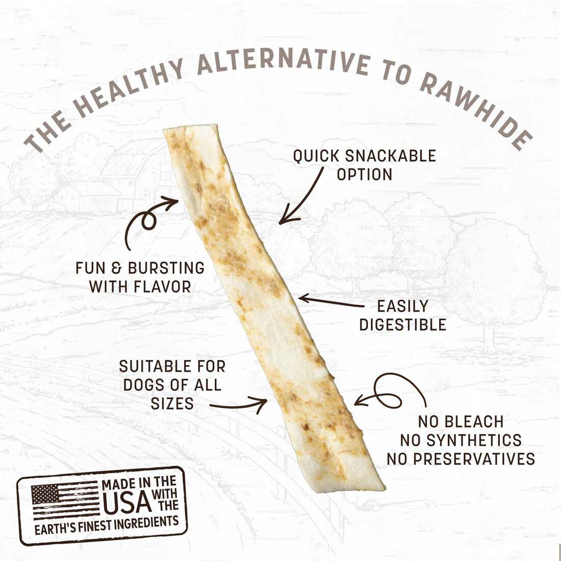 Earth Animal No-Hide Strips No Salmon Recipe Natural Rawhide Alternative Dog Chew Treat, 4 Pack