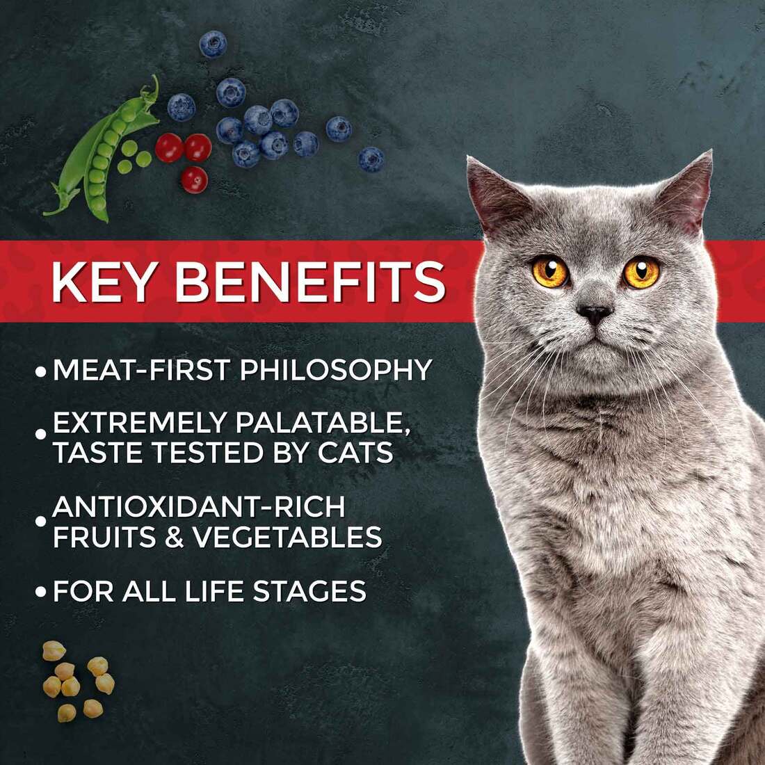 Fussie Cat Market Fresh Dry Cat Food, Chicken and Turkey, 10 Pounds
