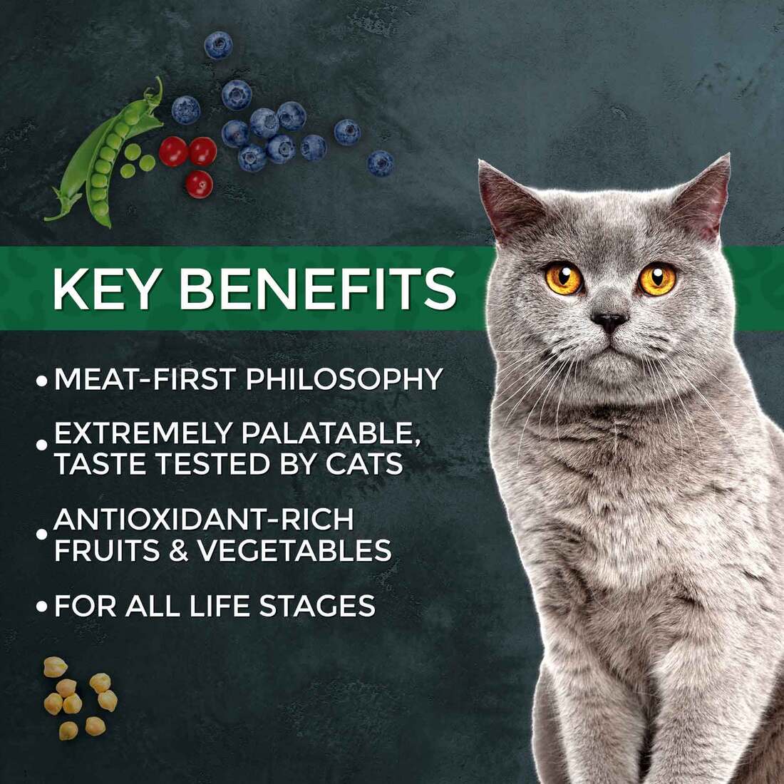 Fussie Cat Market Fresh Dry Cat Food, Salmon and Chicken, 10 Pounds