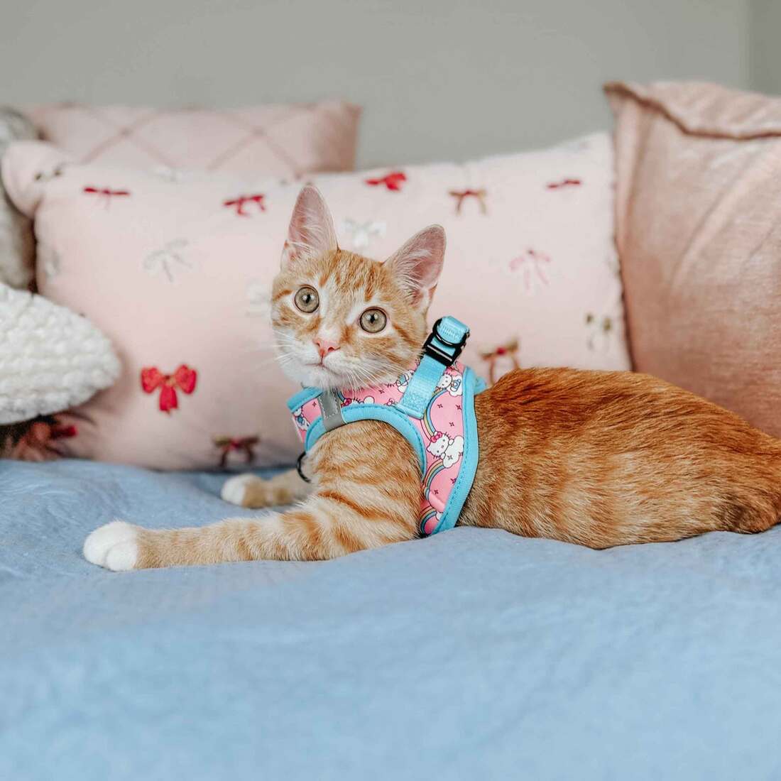 Sassy Meow Cat Harness, Hello Kitty Rainbows, Medium | Pet