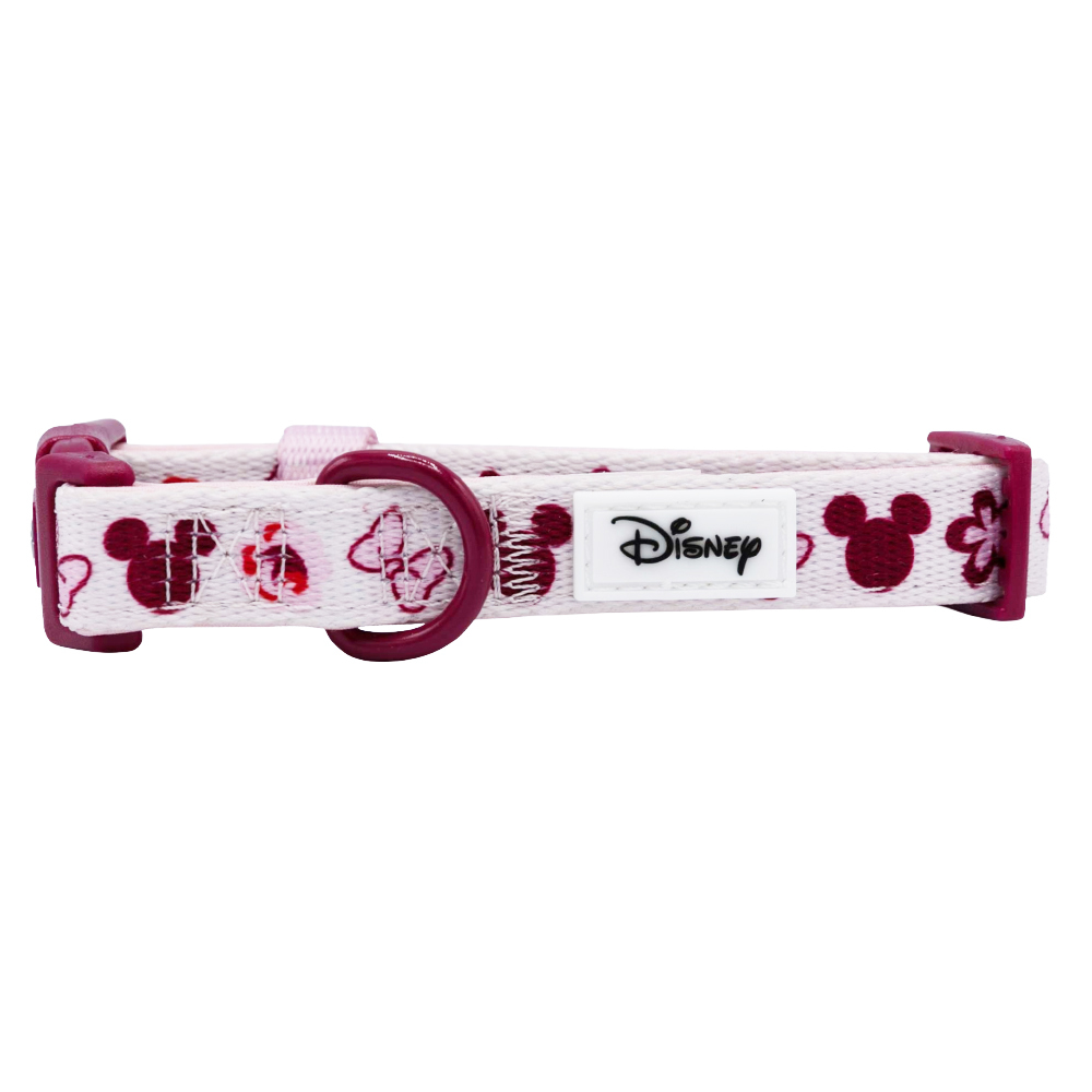 Sassy Woof Dog Collar, Disney's Minnie Mouse Garden Party, Small