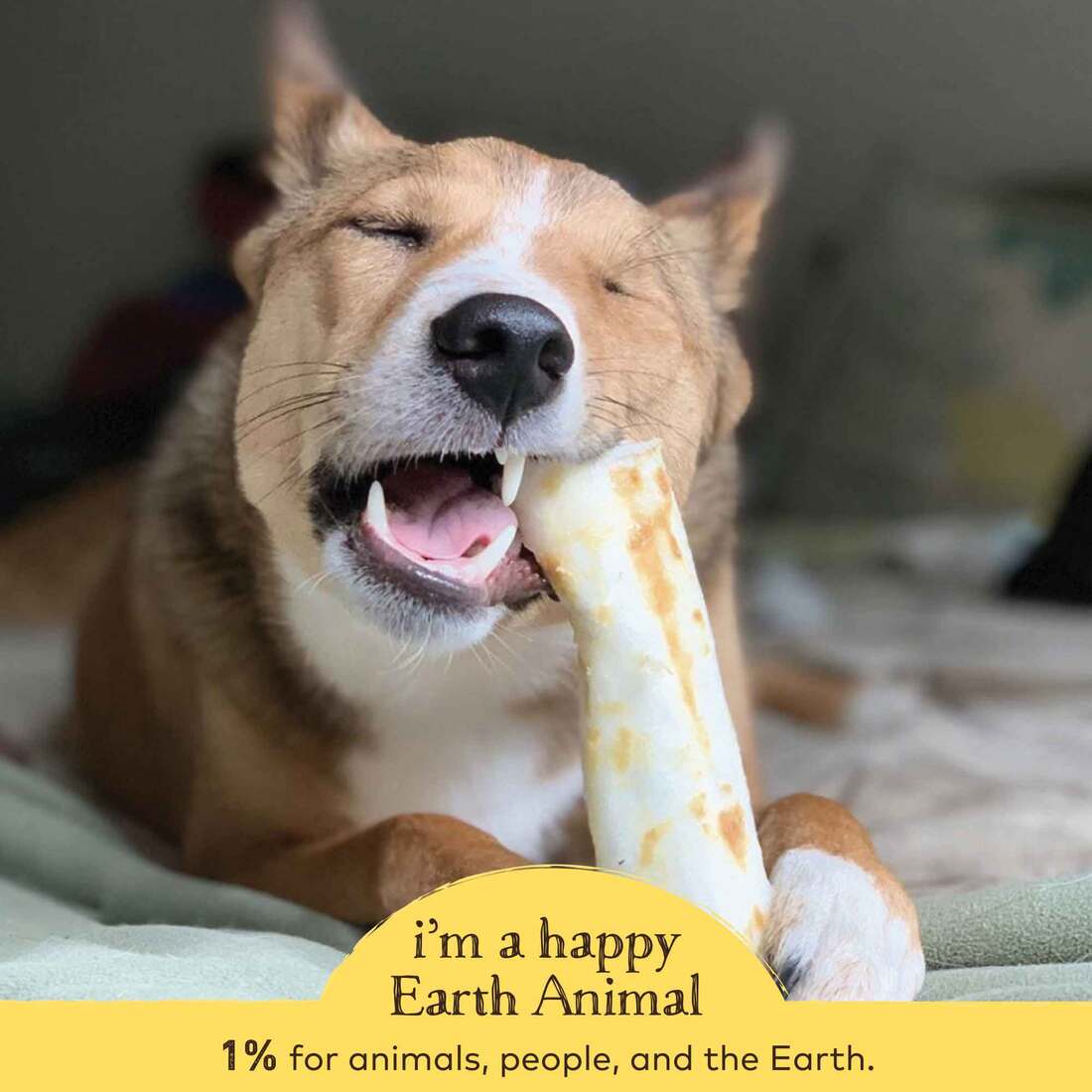 Earth Animal No-Hide Peanut Butter Medium Natural Rawhide Alternative Dog Chew, 1 Count