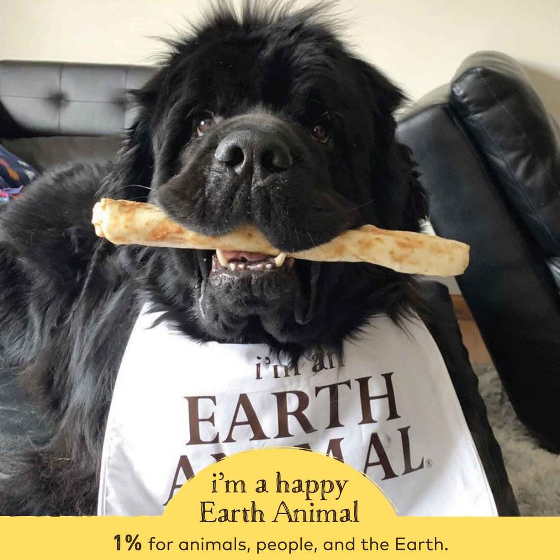 Earth Animal No-Hide Peanut Butter Large Natural Rawhide Alternative Dog Chew, 1 Count