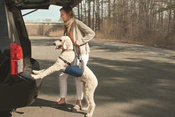 Kurgo Up & About Dog Lifter - Coastal Blue/Charcoal