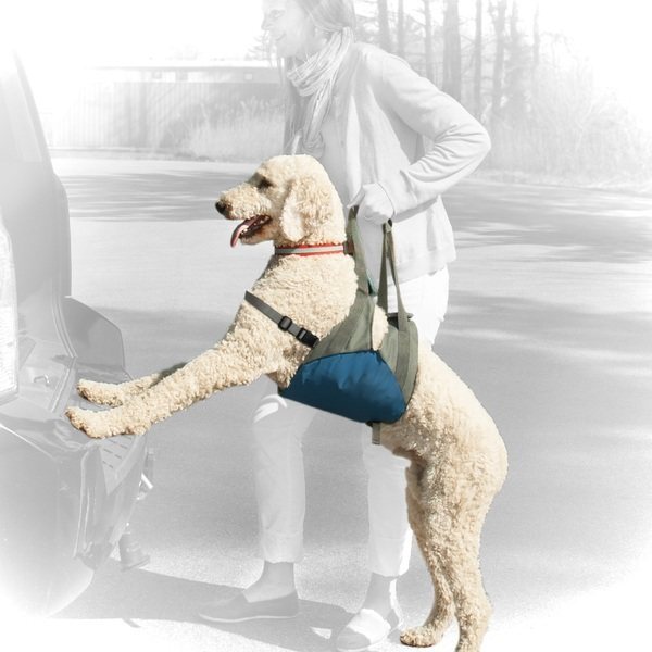Kurgo Up & About Dog Lifter - Coastal Blue/Charcoal