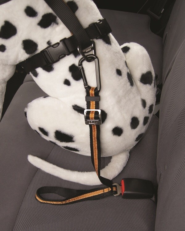 Kurgo Direct to Seatbelt Tether for Dogs - Orange/Black