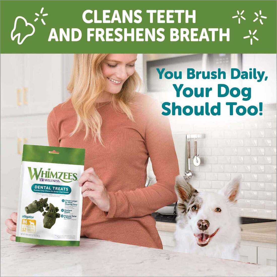WHIMZEES by Wellness Alligator Medium Breed Dental Dog Treat, 1