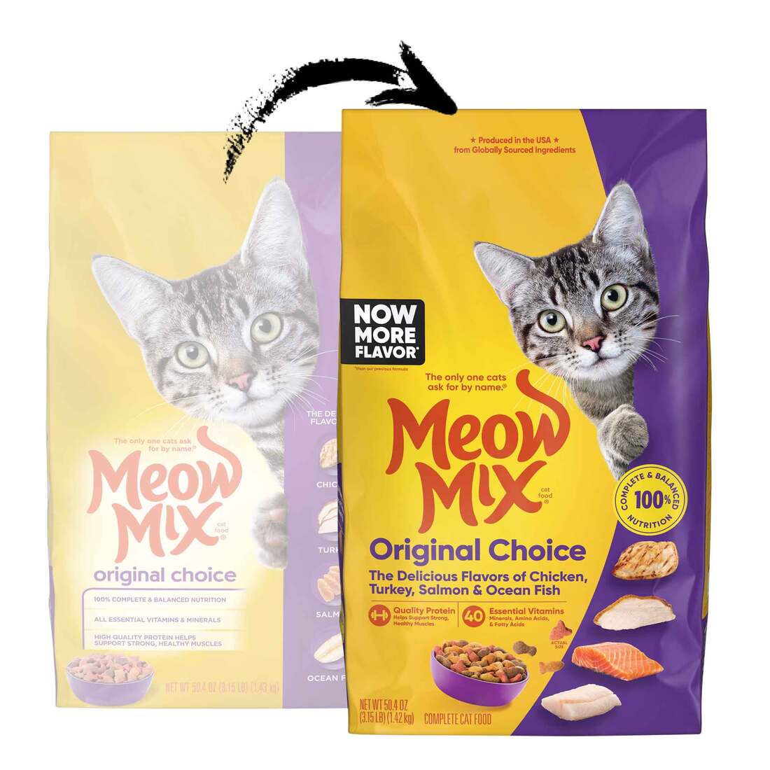 Meow Mix Original Choice Dry Cat Food, 3.15 Pounds
