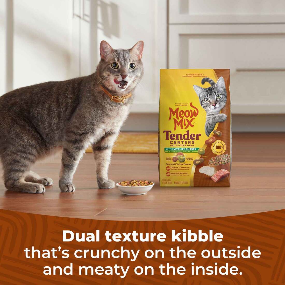 Meow Mix Tender Centers Vitality Bursts with Salmon and Turkey Dry Cat Food, 3 Pounds