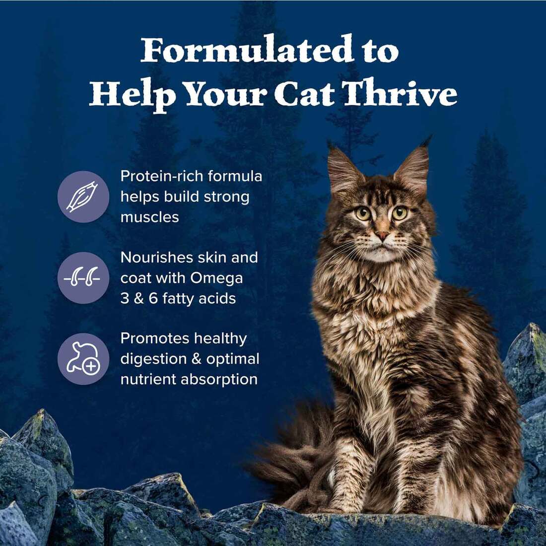Blue Wilderness Dry Cat Food, Adult Grain Free Chicken, 6 Pounds