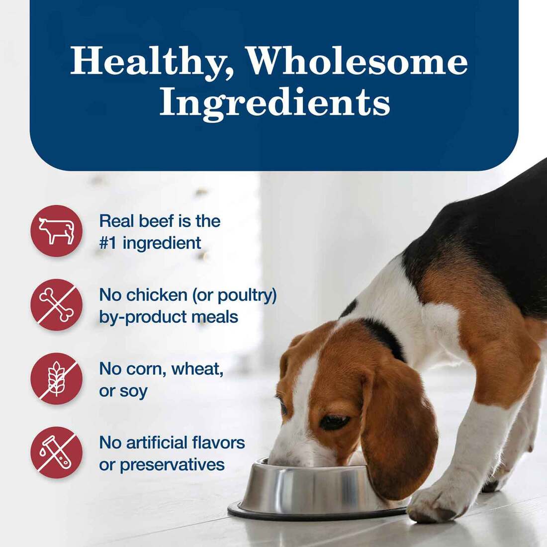 Blue Buffalo Dog Food, Homestyle Recipe Beef Dinner with Vegetables, 12.5 Ounce Can