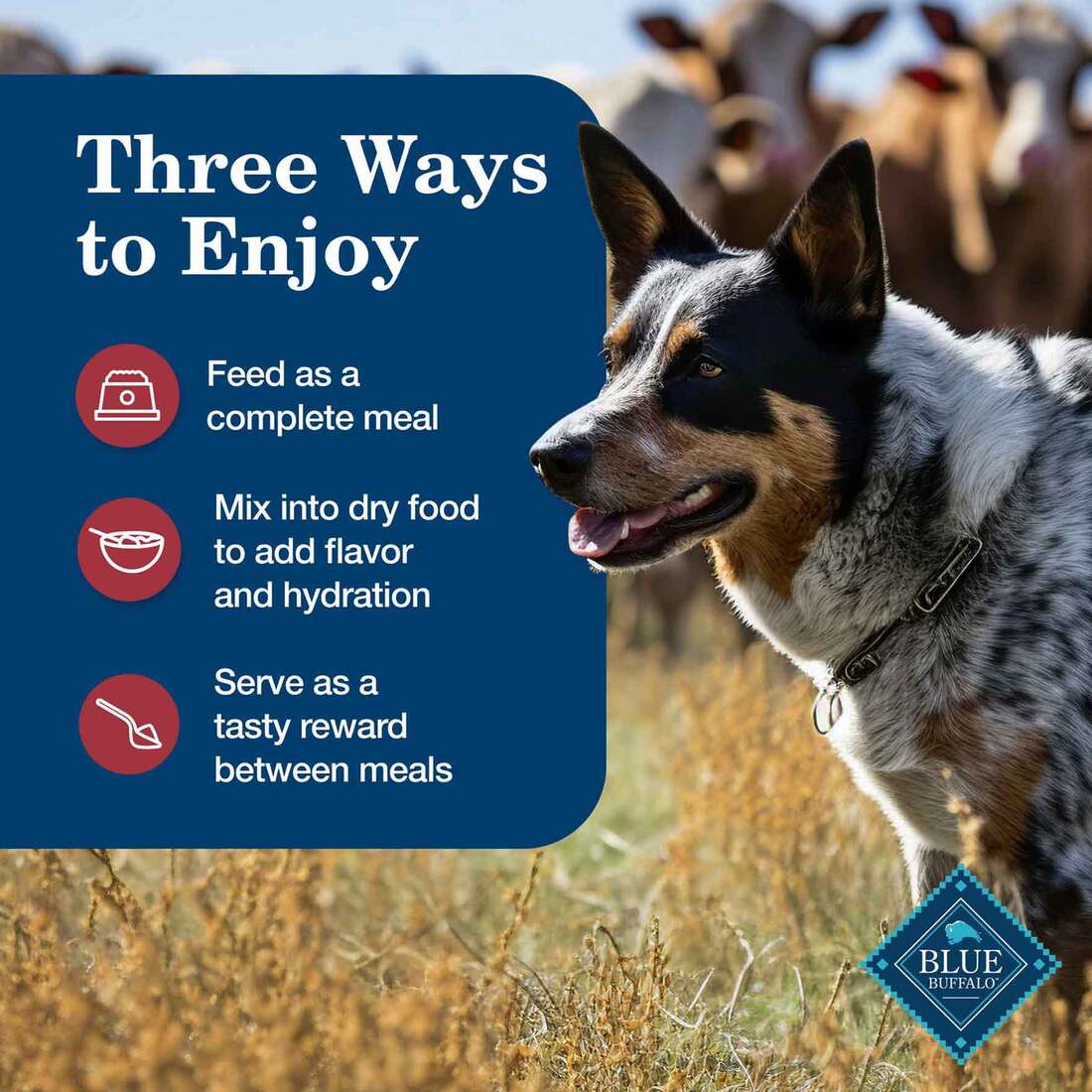 Blue Buffalo Dog Food, Homestyle Recipe Beef Dinner with Vegetables, 12.5 Ounce Can