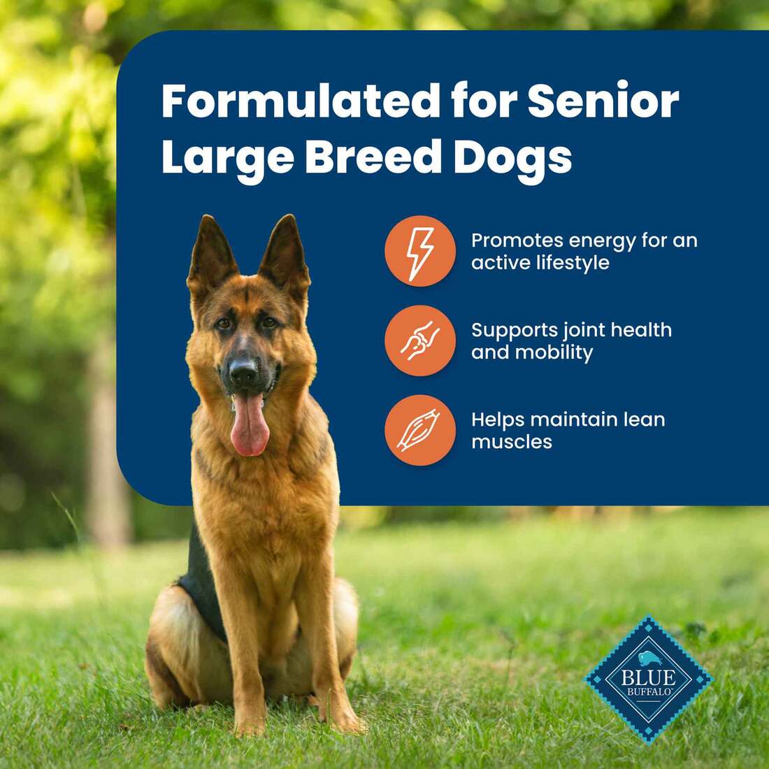 Blue Buffalo Life Protection Formula Natural Senior Large Breed
