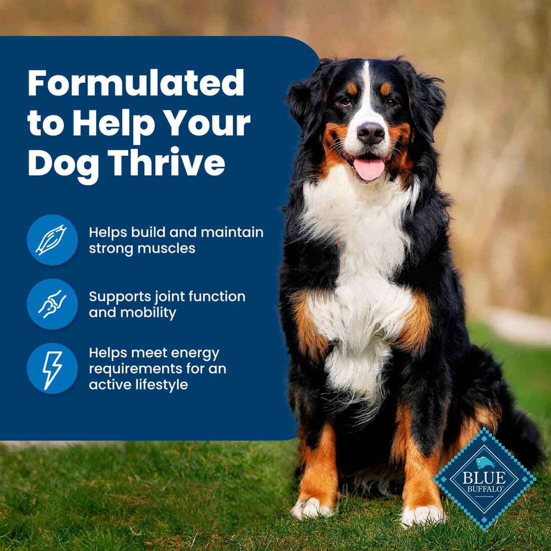 Blue Buffalo Life Protection Formula Adult Dry Dog Food, Chicken and Brown Rice, 5 Pounds