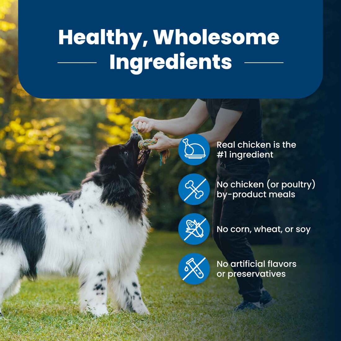 Blue Buffalo Life Protection Formula Adult Dry Dog Food, Chicken and Brown Rice, 5 Pounds